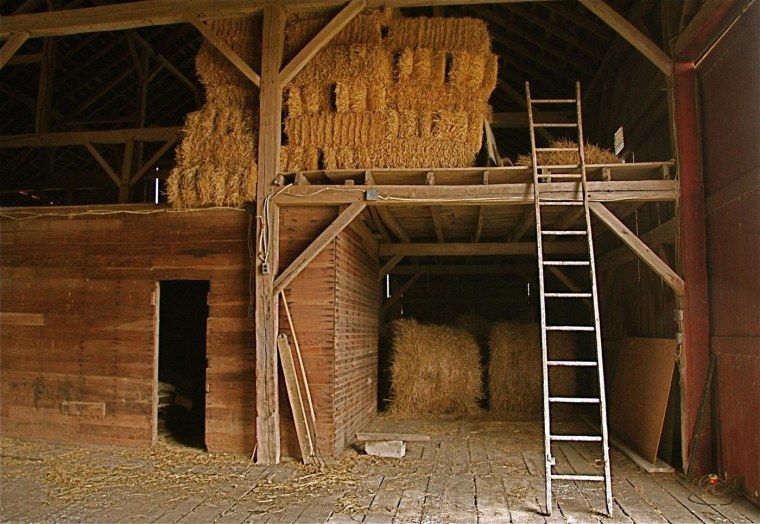 Амбар коровник в Америке