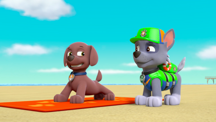 Щенки Маршал Рокки Зума