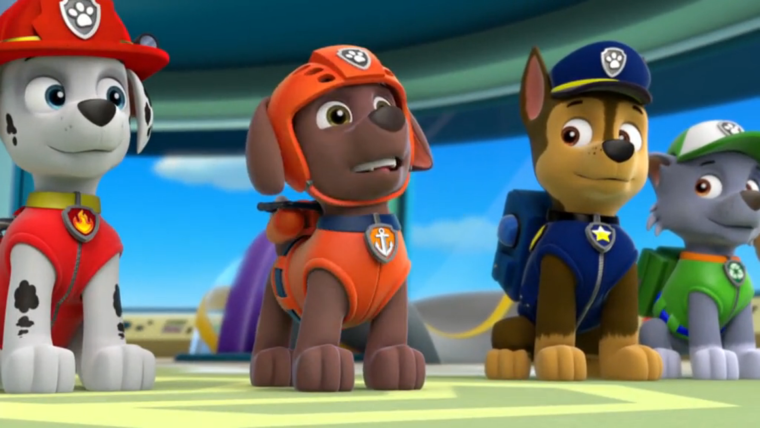 Щенячий патруль Маршал и Зума и гонщик