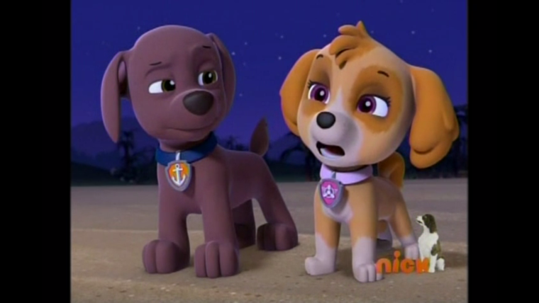 Щенячий патруль. Зума