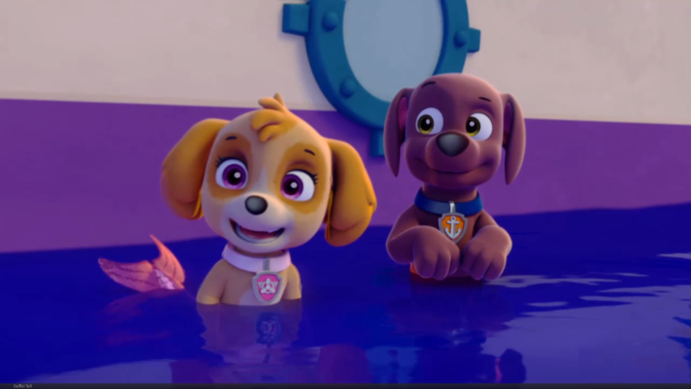 Щенячий патруль Зума и Скай