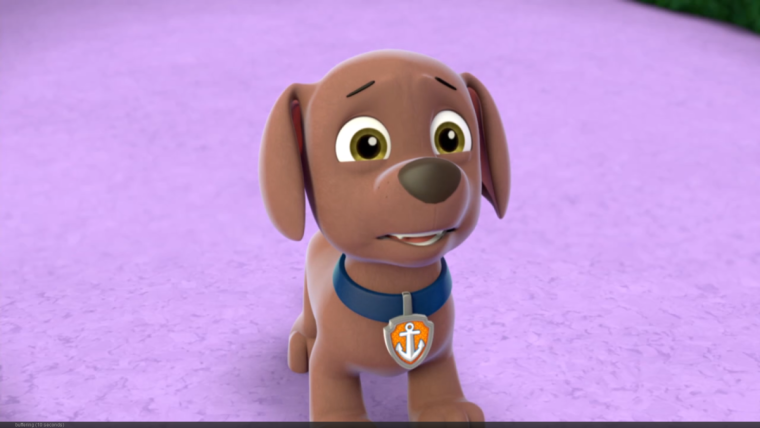 Щенячий патруль. Зума