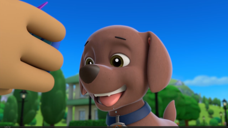 Зума Щенячий патруль арт