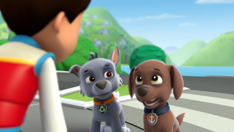 Щенячий патрульрки и зумо