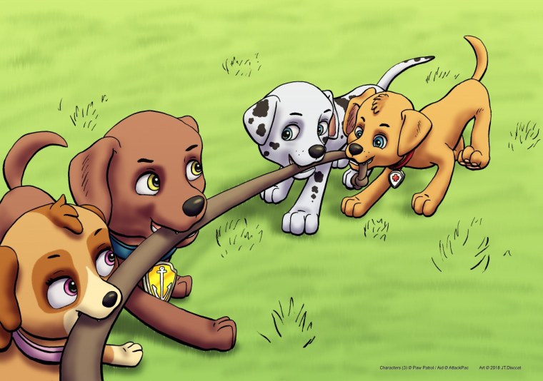 Щенячий патруль Зума и Скай голые