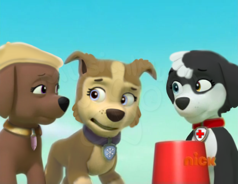 Щенячий патруль Рокки и Эверест любовь