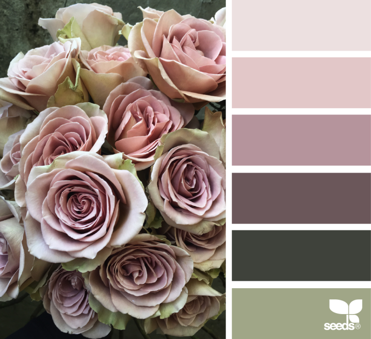 Палитра нюдовых оттенков