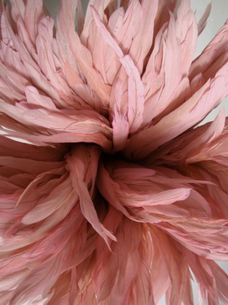 Перья цвета пыльной розы