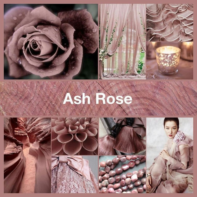 Ash Rose цвета Pantone