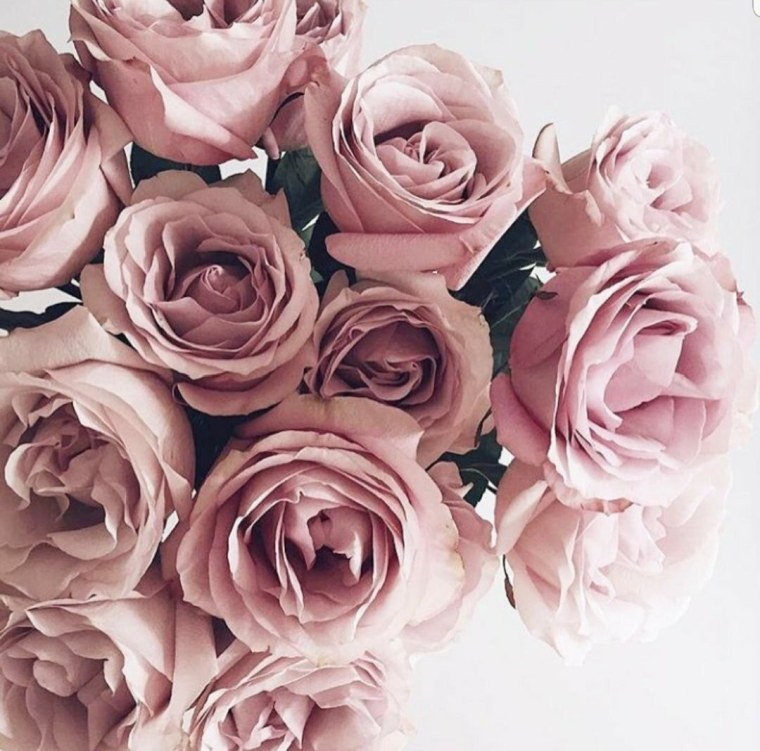 Пионы пыльная роза