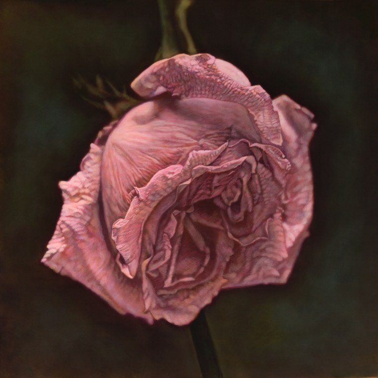 Пепельная роза