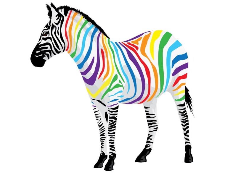 Зебра с цветными полосками