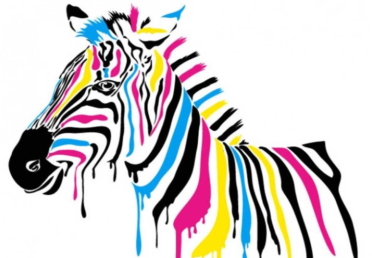 Разноцветная Зебра