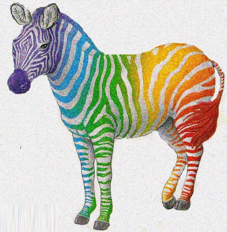 Разноцветная Зебра