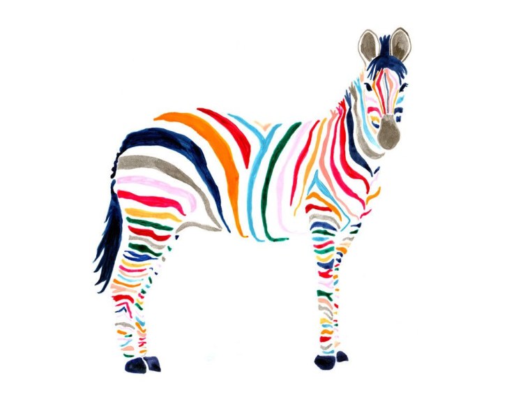 Цветная Зебра
