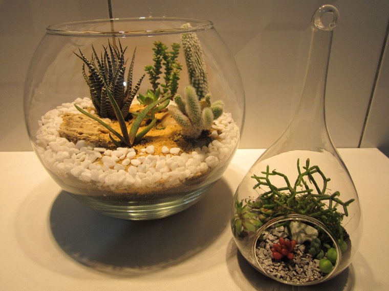 Композиции в стеклянных вазах