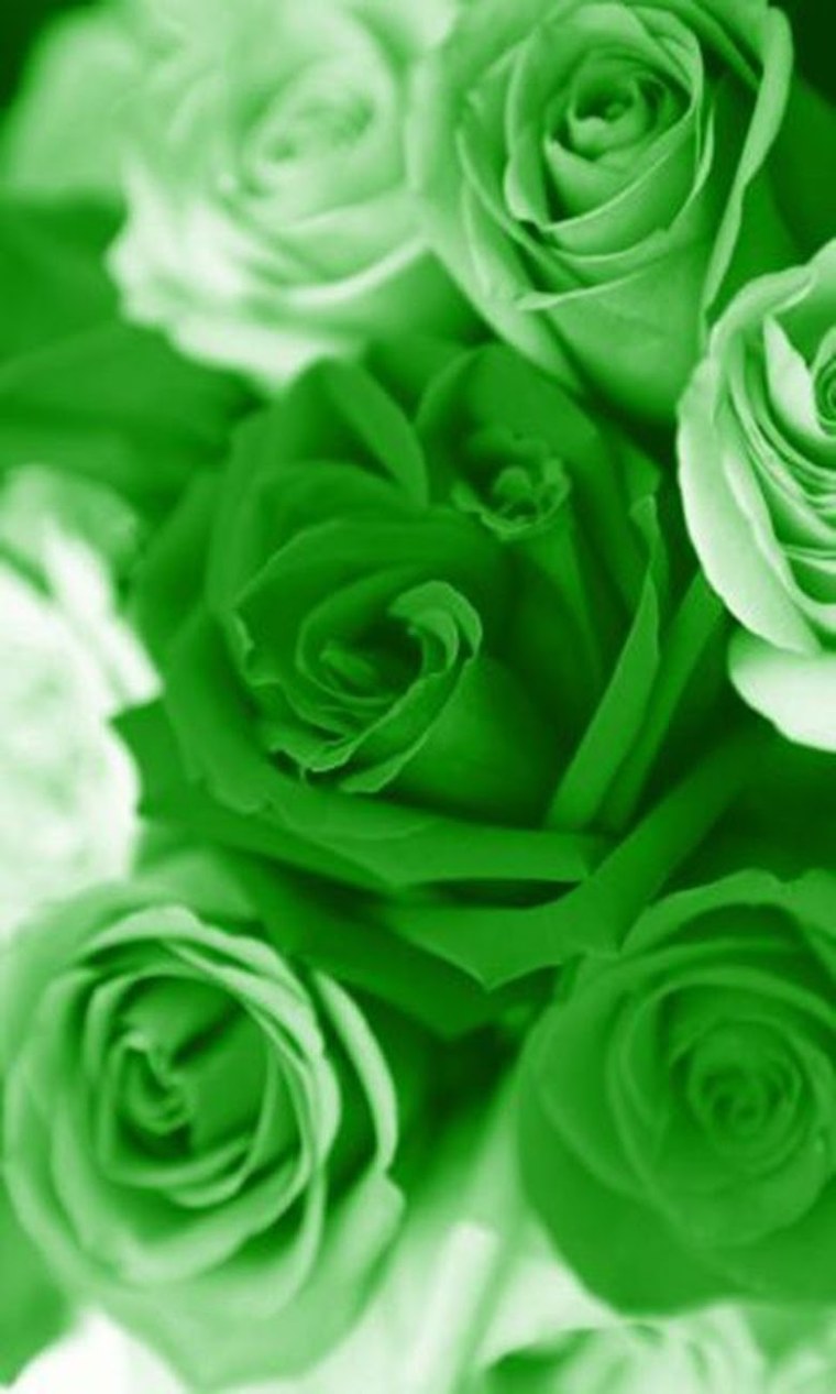 Розово салатовые цветы