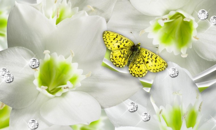 Зеленые цветы на белом фоне