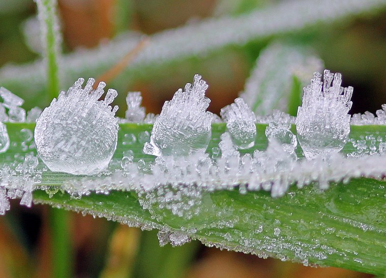 Роса иней изморозь это