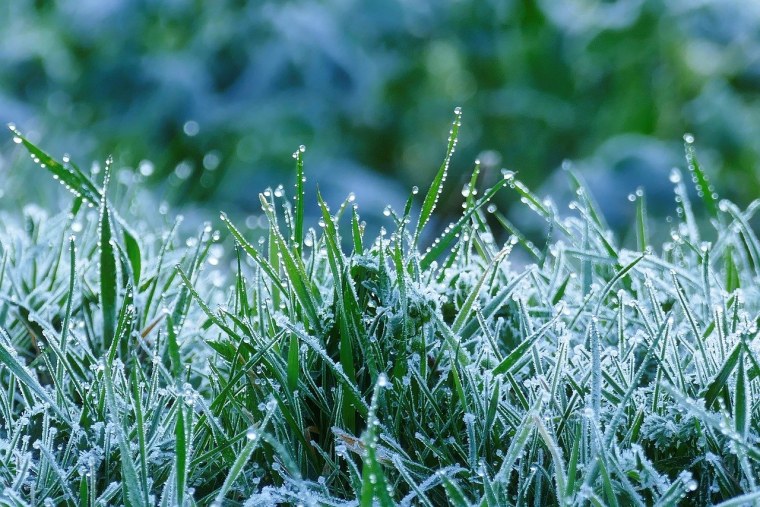 Иней на траве