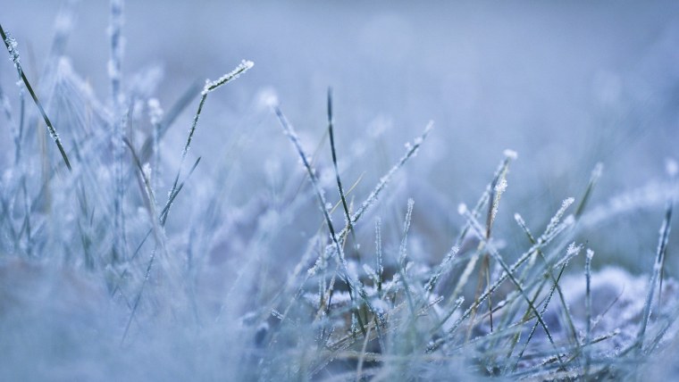 Зимняя свежесть