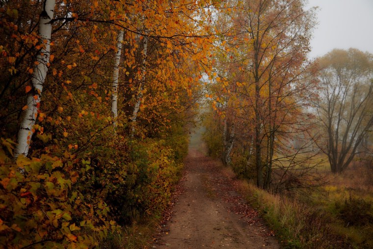 Осень унылая пора