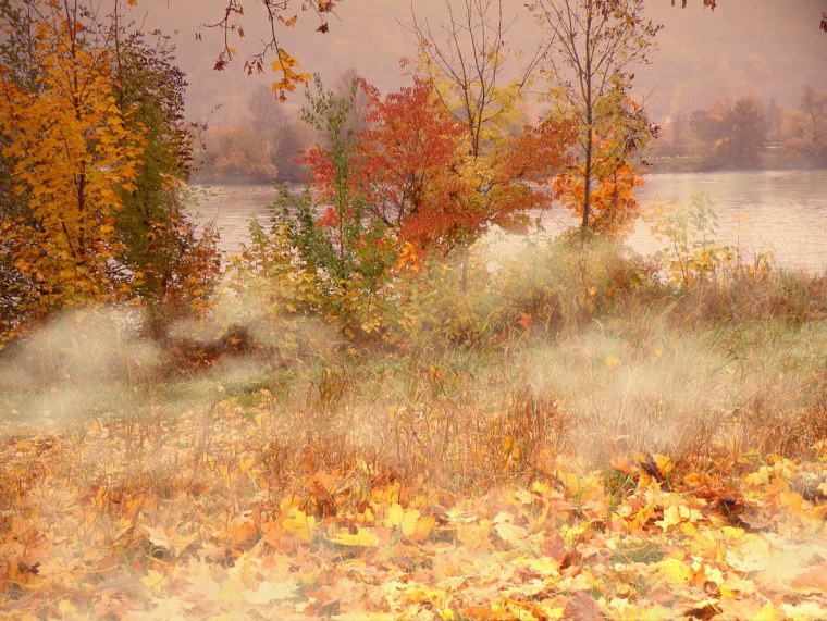 Унылая пора пейзаж