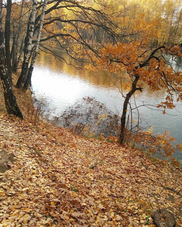 Осенняя пора