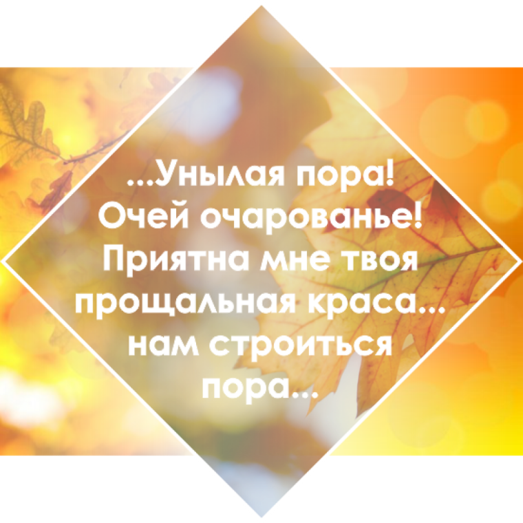 Свет очей очарованье