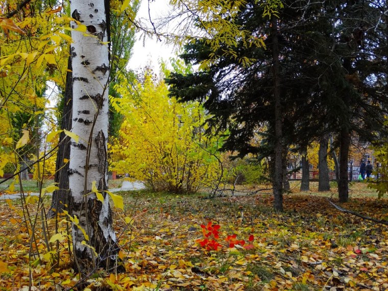 Золотая Золотая осень унылая пора очей очарованье