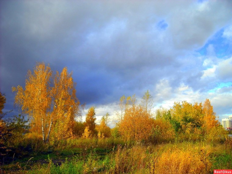 Осень очей очарованье