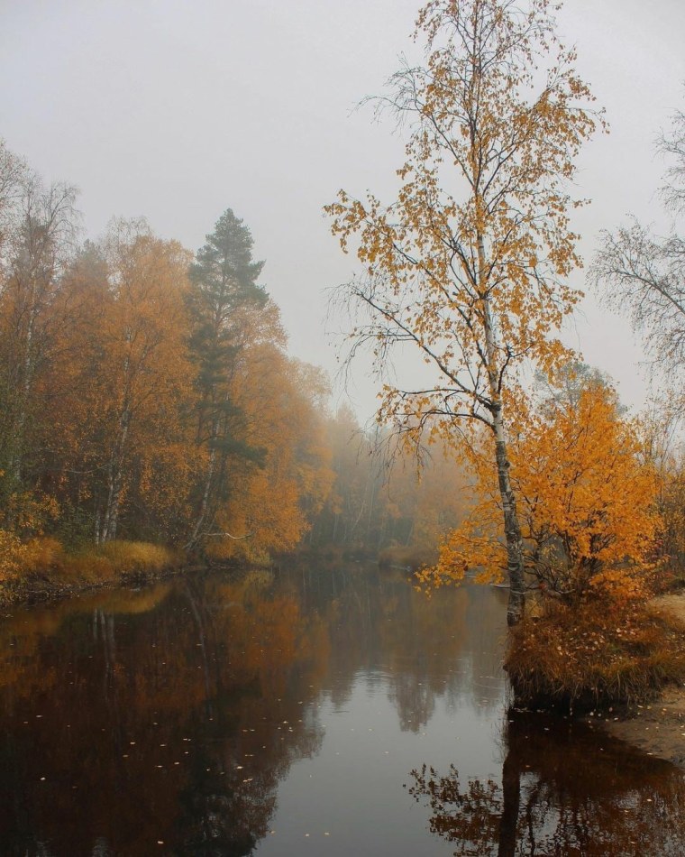 Унылая пора фото