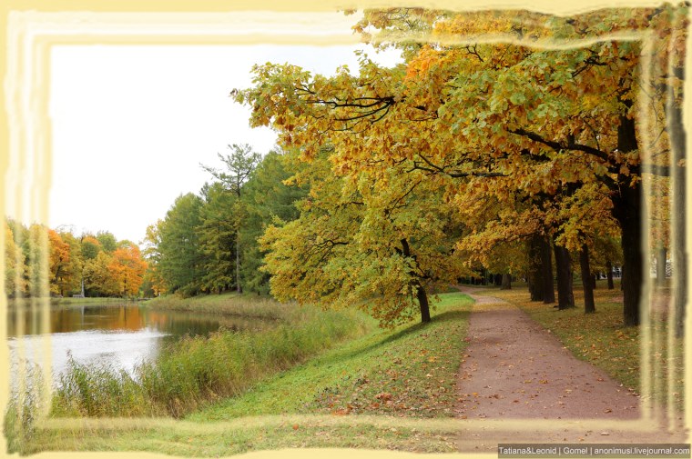 Очей очарованье стих Пушкина