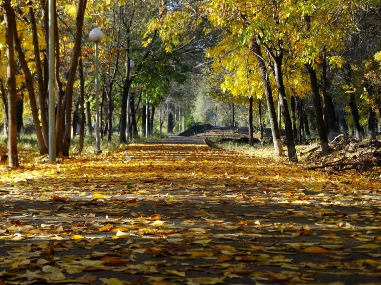 Поздняя осень