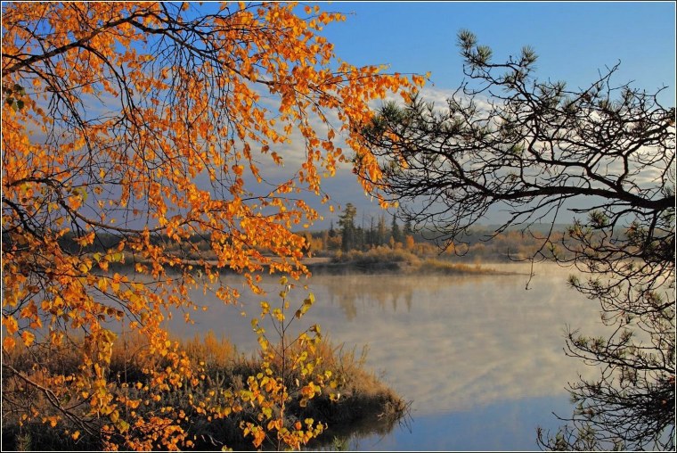 Река Ока Пущино поздняя осень