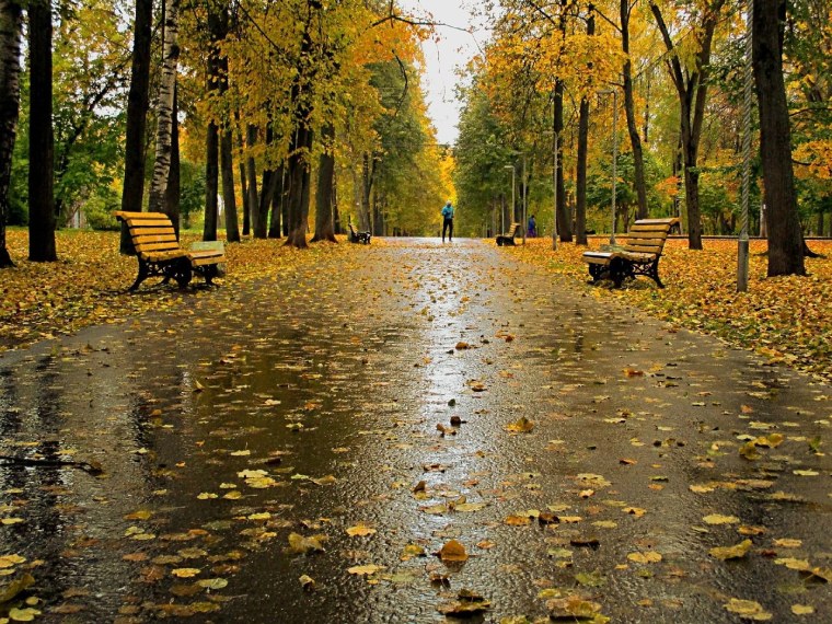 Парк у филармонии Киров