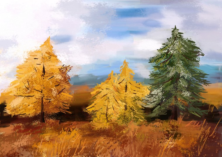 Родные осенние просторы рисунок