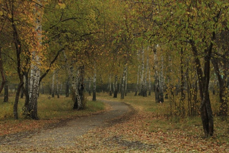 Осень унылая пора