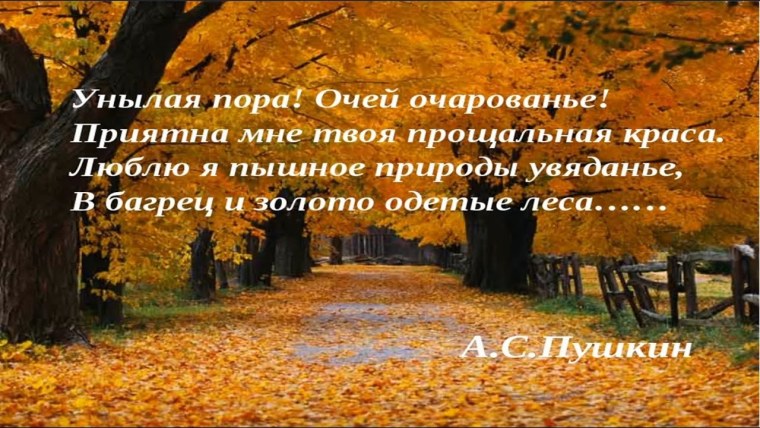 Стихотворение Есенина закружилась листва Золотая