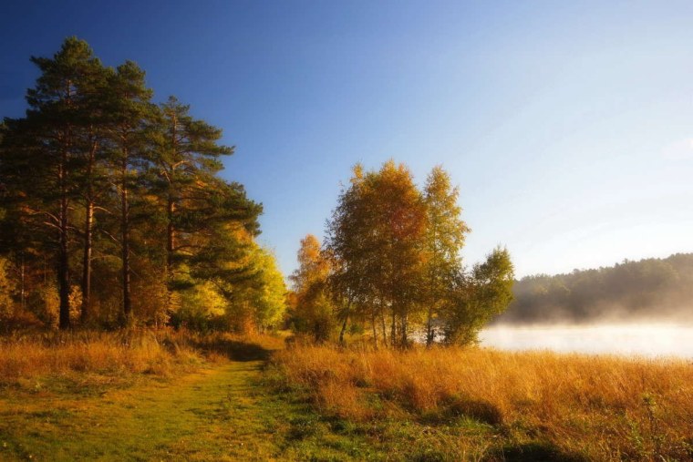 Дивная осень