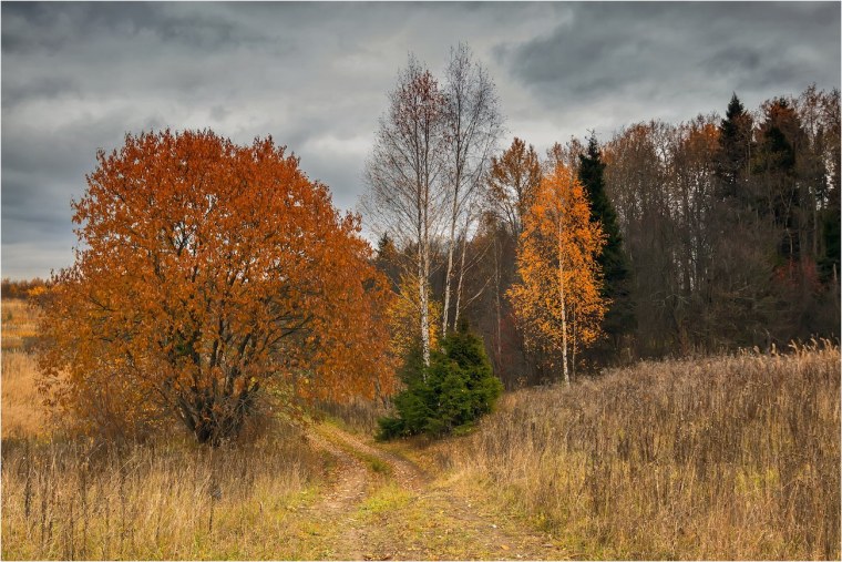 Осень унылая пора
