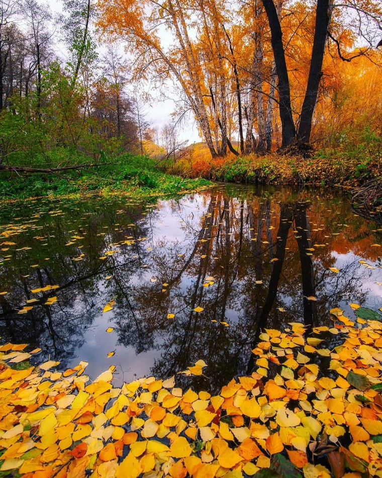 Осень очей очарованье