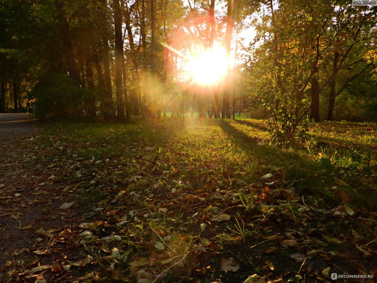 Осень утро картинки красивые