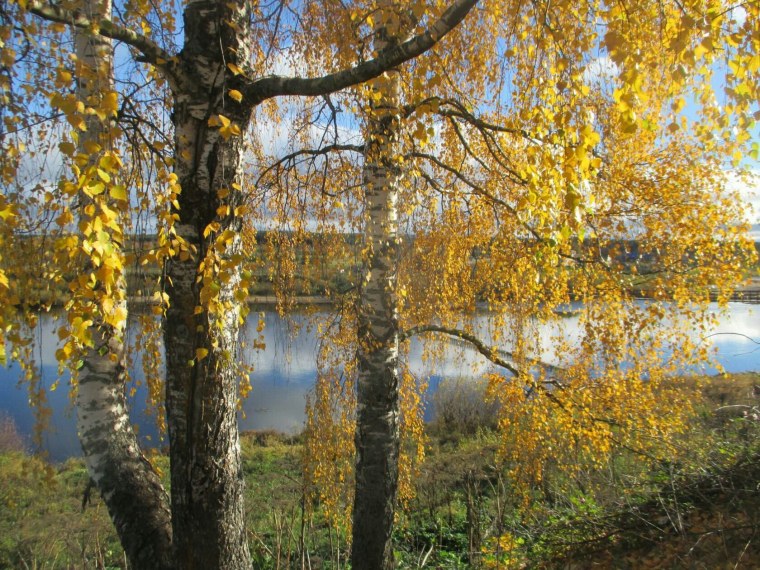 Природа шепчет