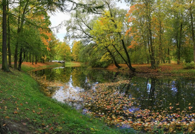 Осень очей очарованье