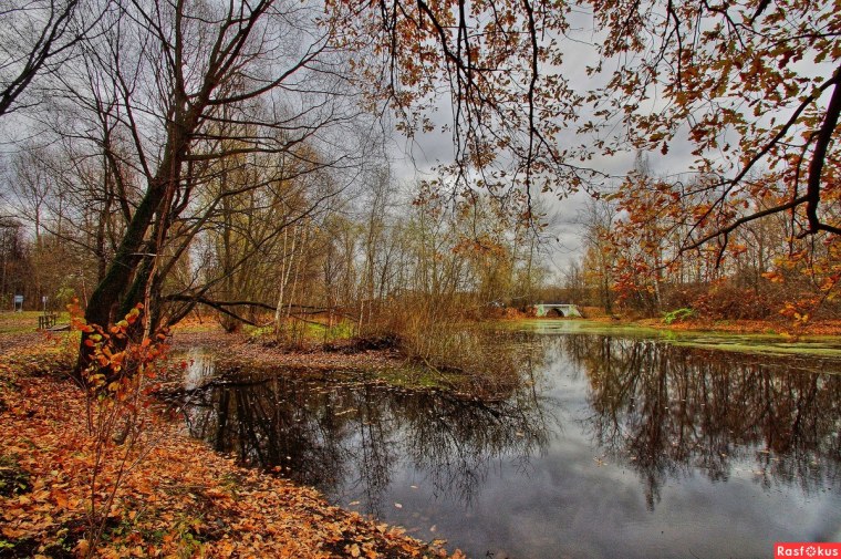Унылый осенний пейзаж