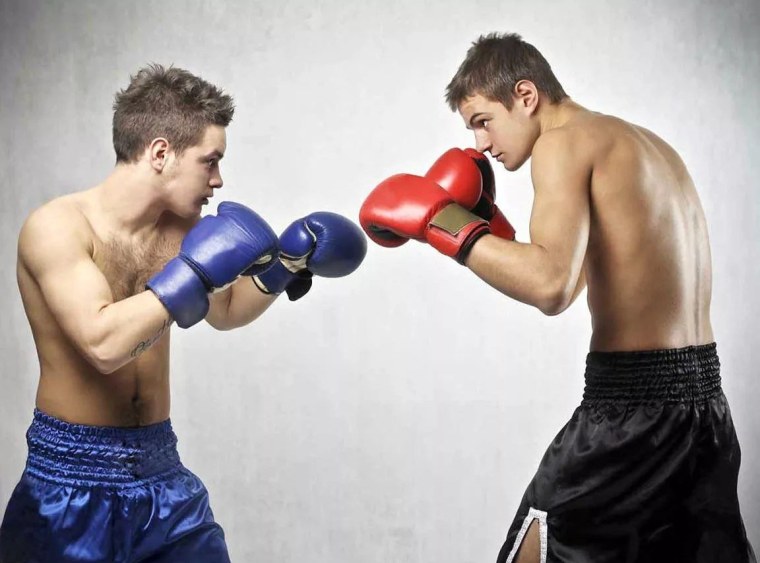 Стойка боксера