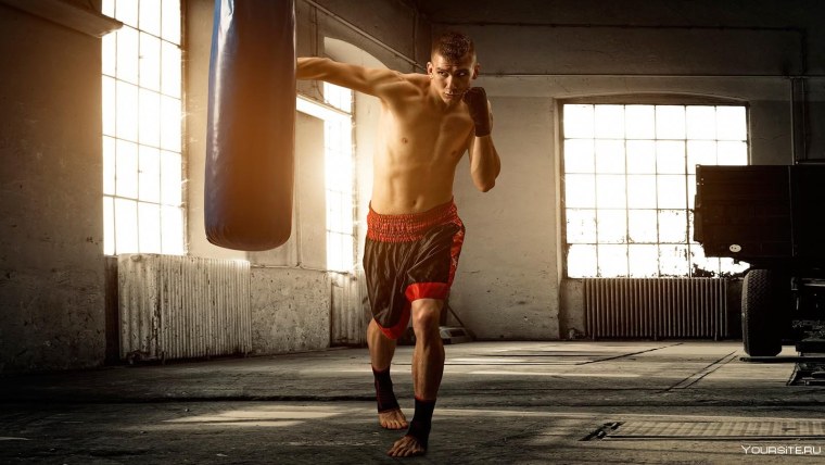 Боксер тренируется