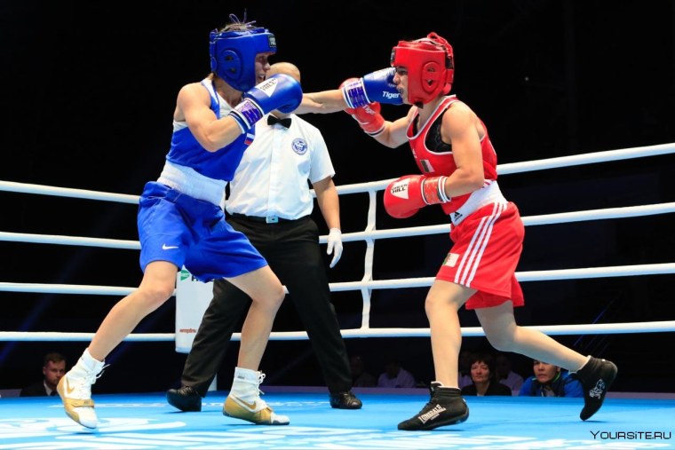 Любительский бокс