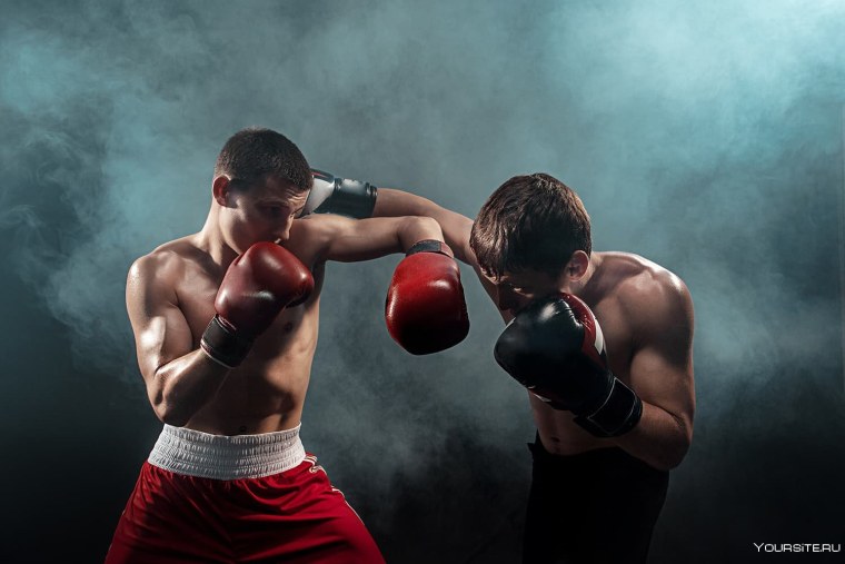 Два боксера на ринге